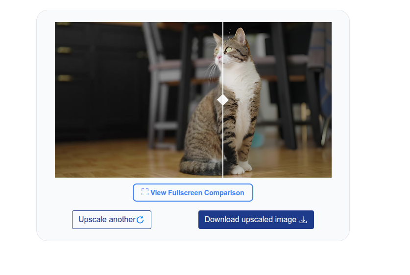 The before-and-after comparison view of an enhanced photo with a download button
